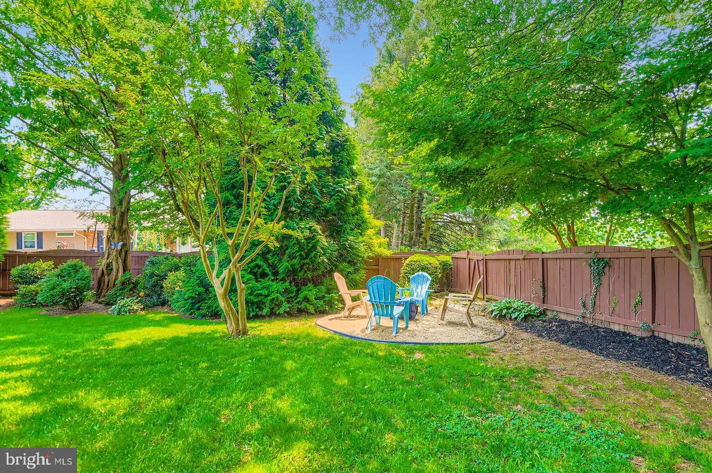 11 White Spruce photo 32