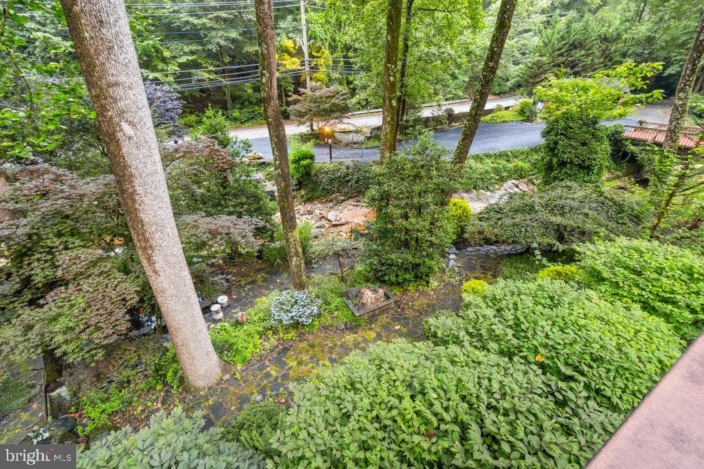 2407 Cub Hill photo 62