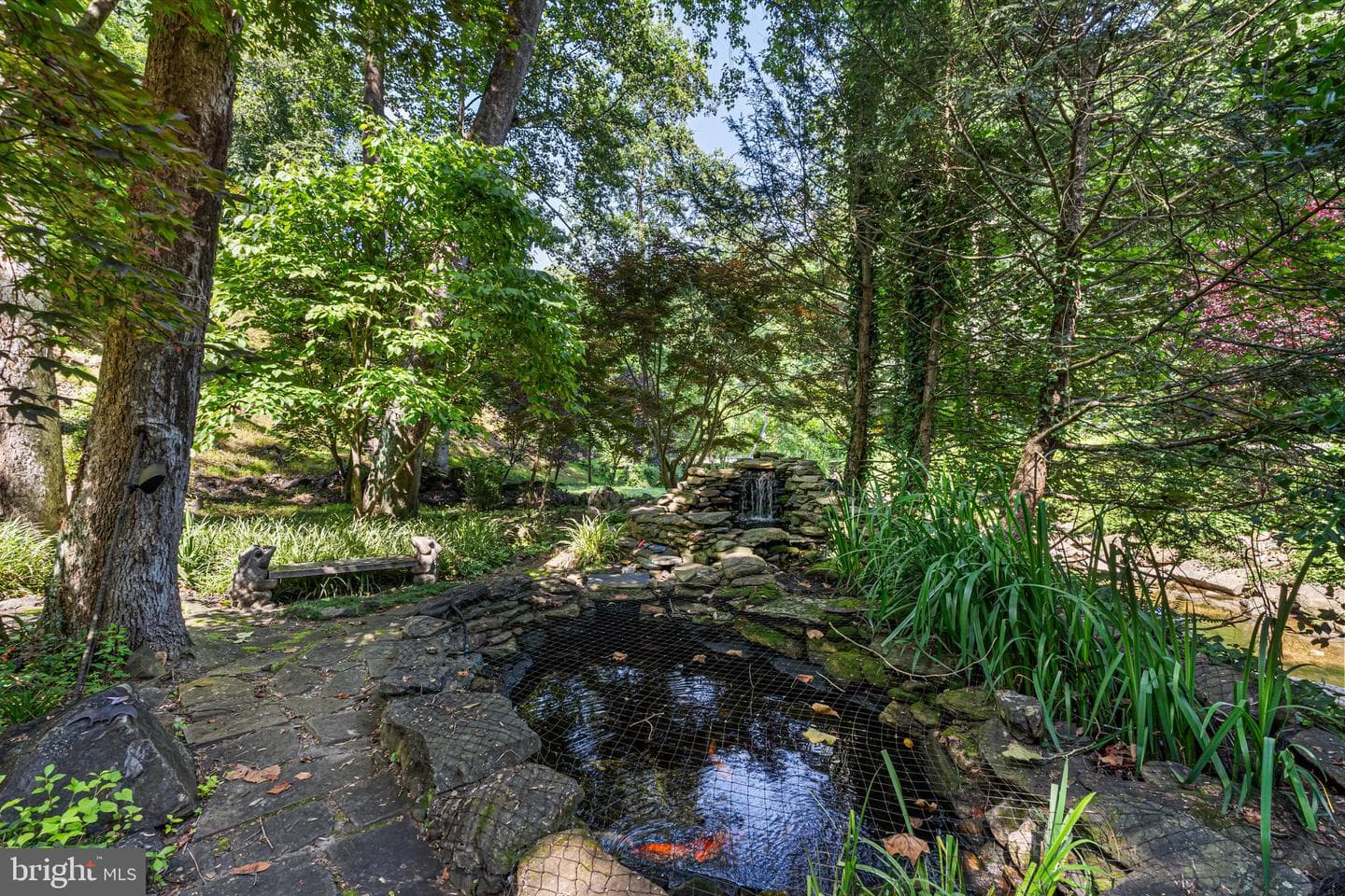2407 Cub Hill photo 68