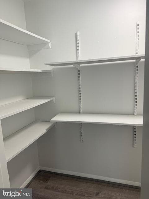213 Hammershire Road #d photo 6