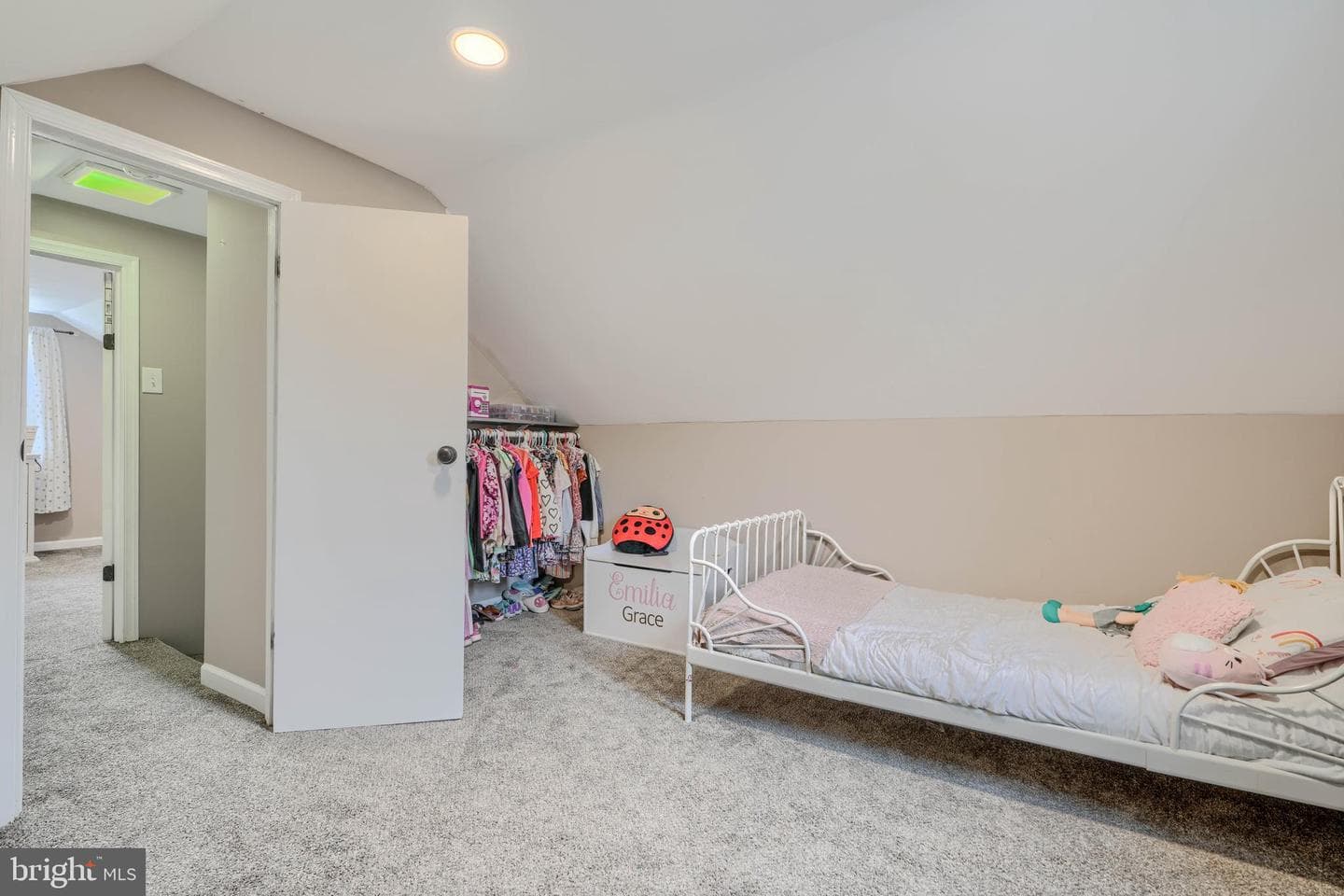 46 Avalon Avenue photo 23