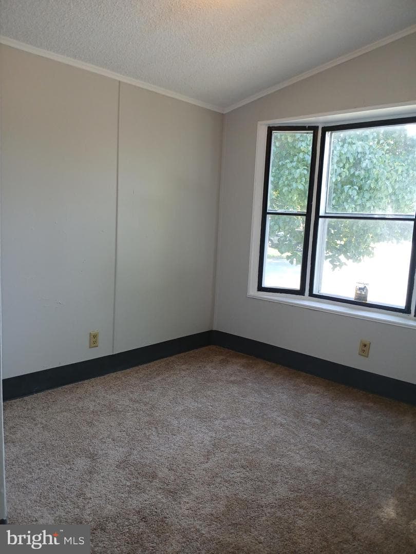 114 Roundup Road photo 14
