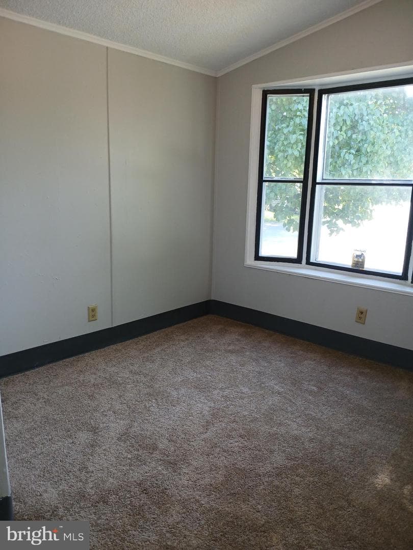 114 Roundup Road photo 5