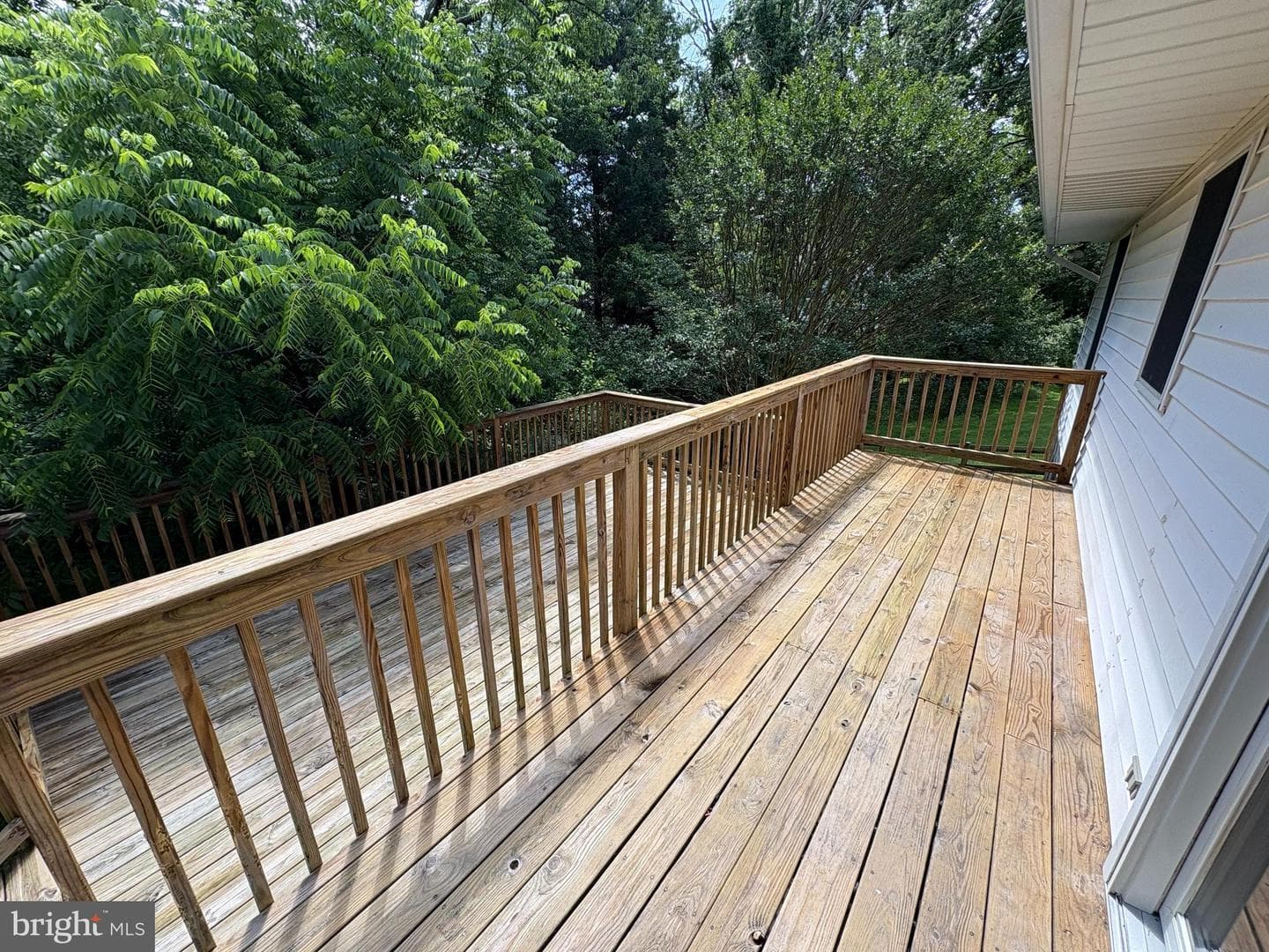 16 Carissa Court photo 12