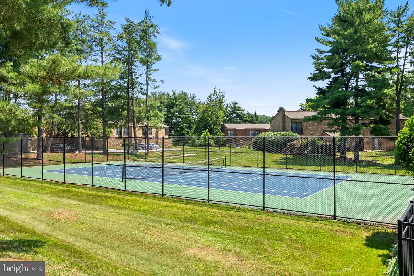 5 Wimpole Court #d photo 38