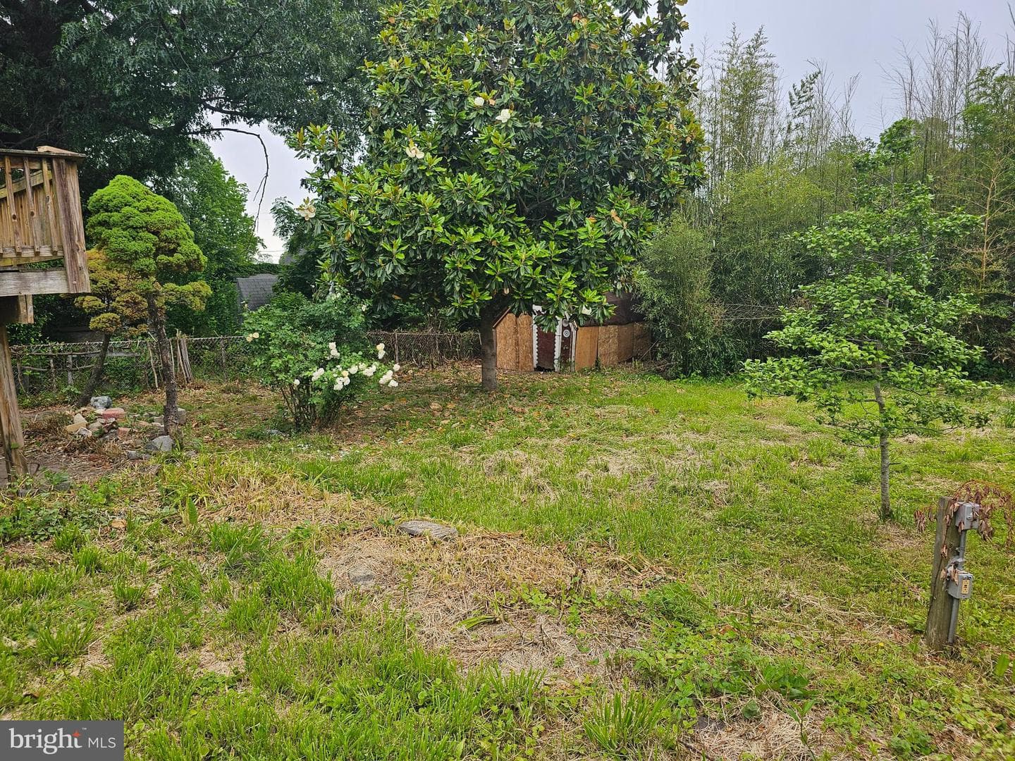 1605 Evergreen Drive photo 5