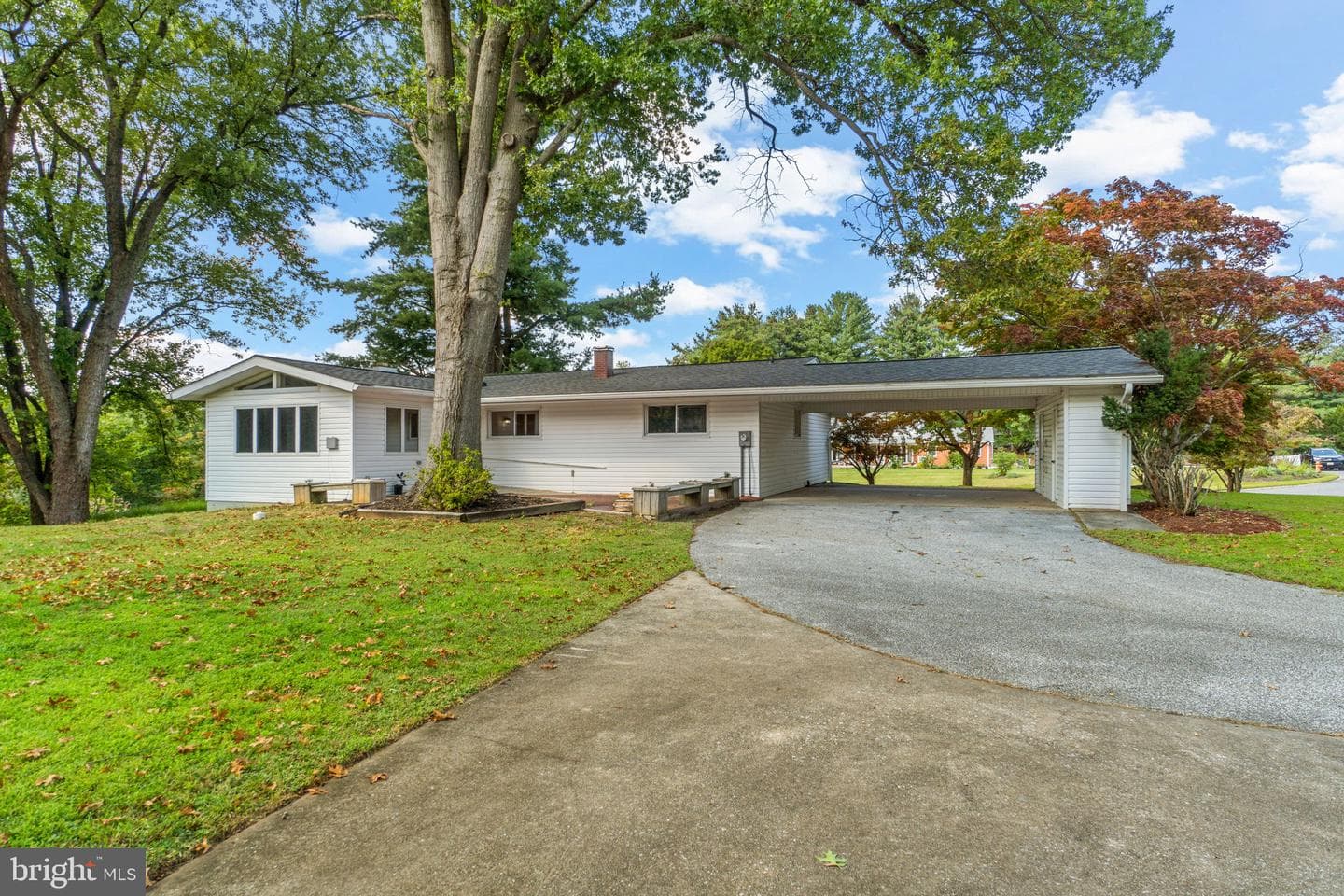 1 Babette Court photo 37