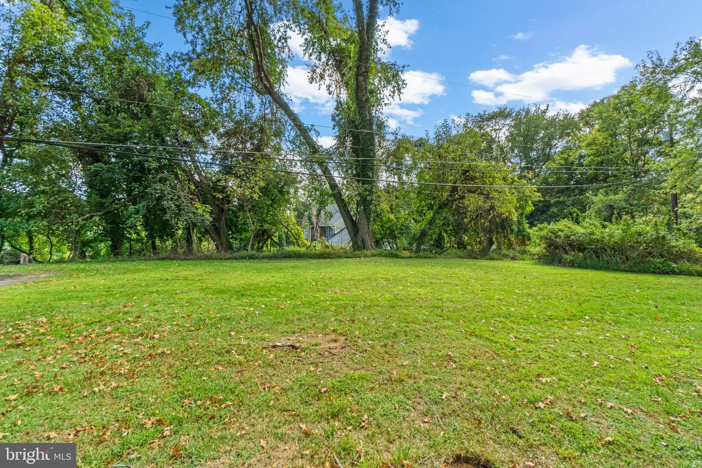 1 Babette Court photo 42