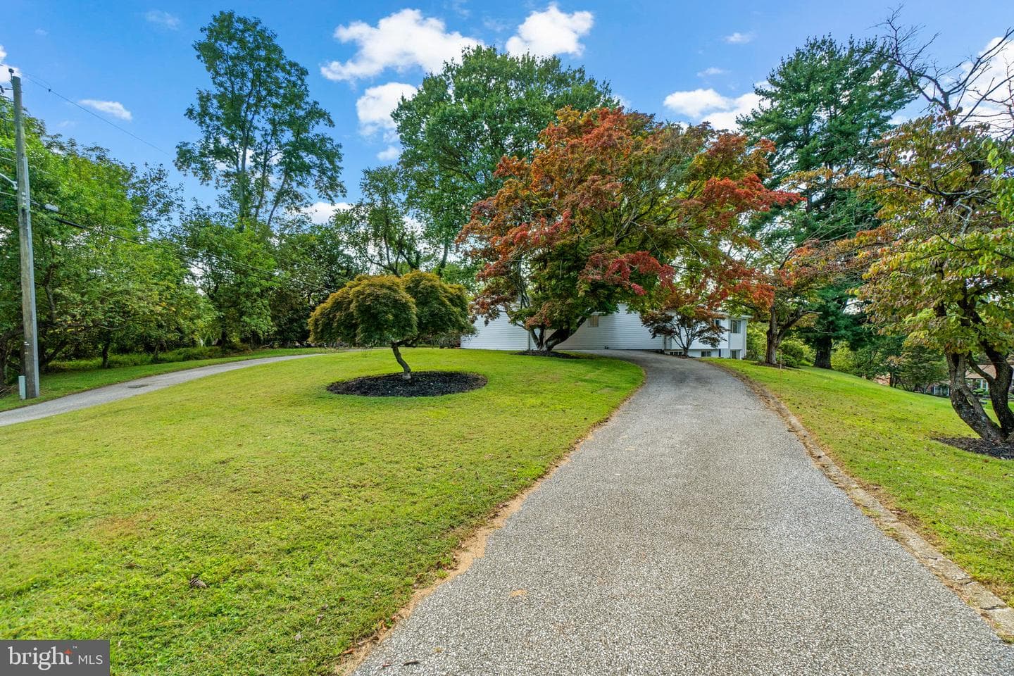 1 Babette Court photo 44