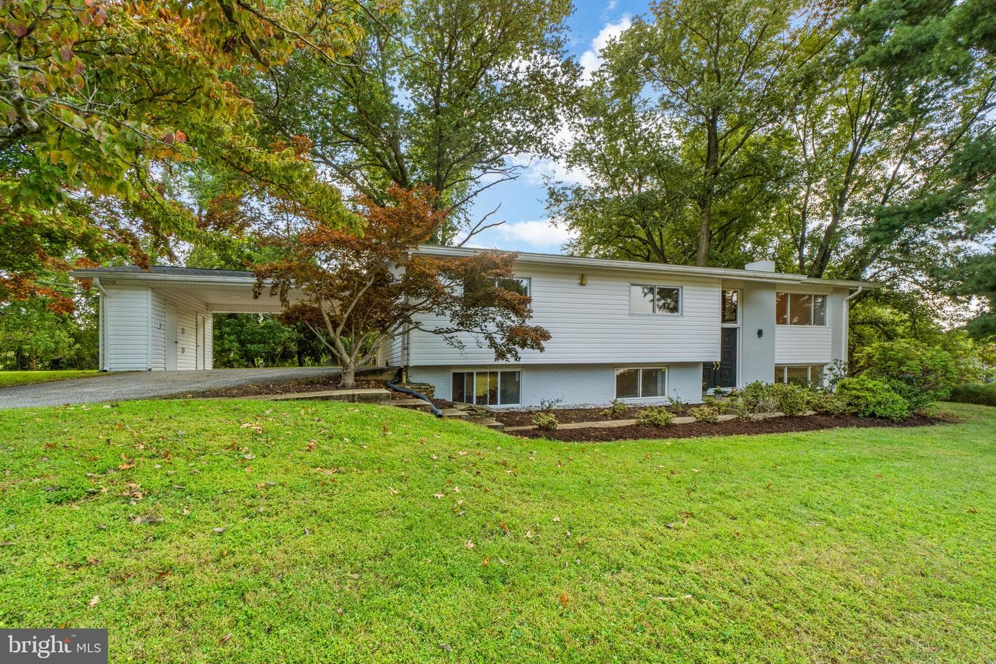 1 Babette Court photo 45
