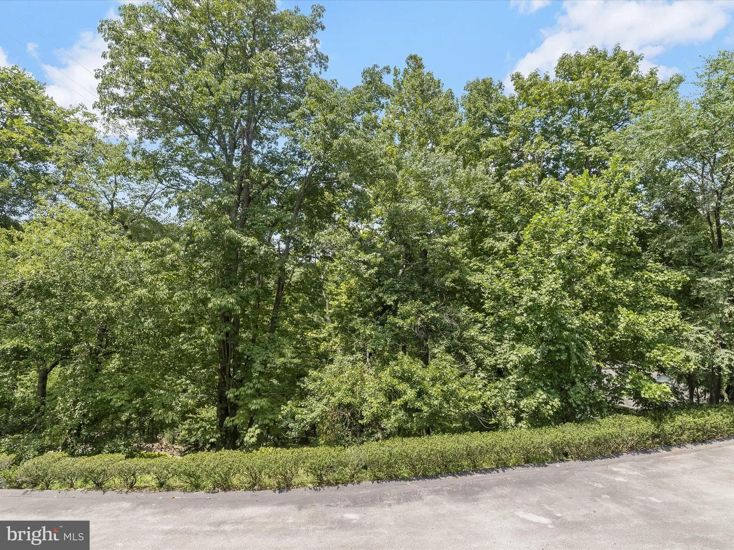 1007 Lillies Lane photo 64