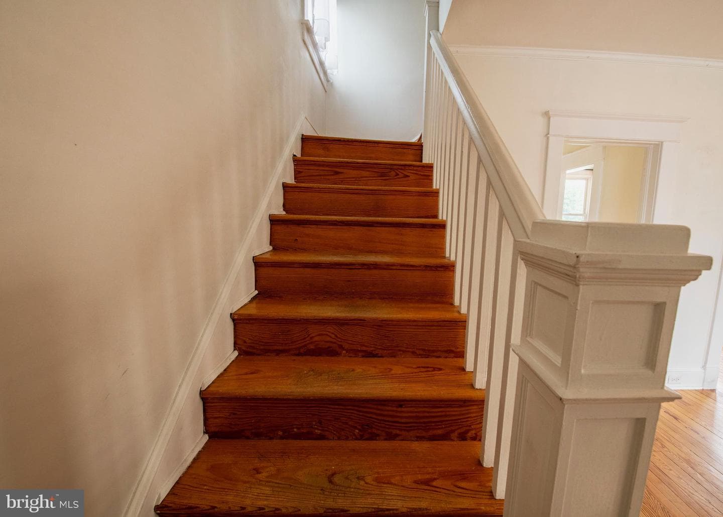10 Hawthorne Avenue photo 7