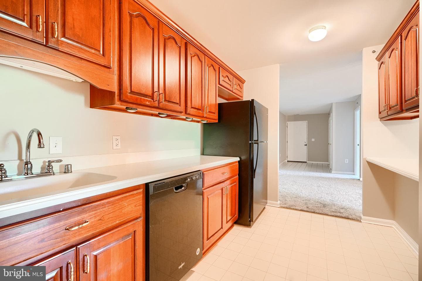 3802 Meghan Drive #2h photo 11