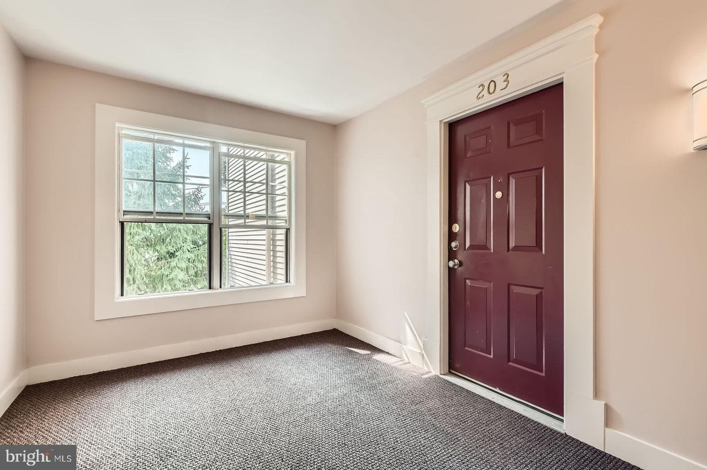 8813 Stone Ridge Circle #203 photo 5