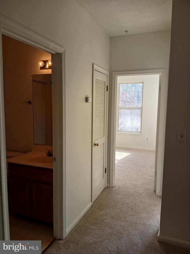 7201 Bogley Road #203 photo 10