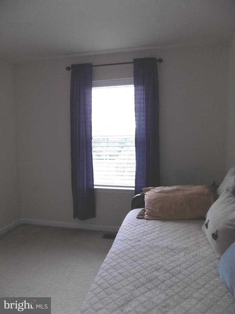 9545 Elizabeth Howe Lane photo 19