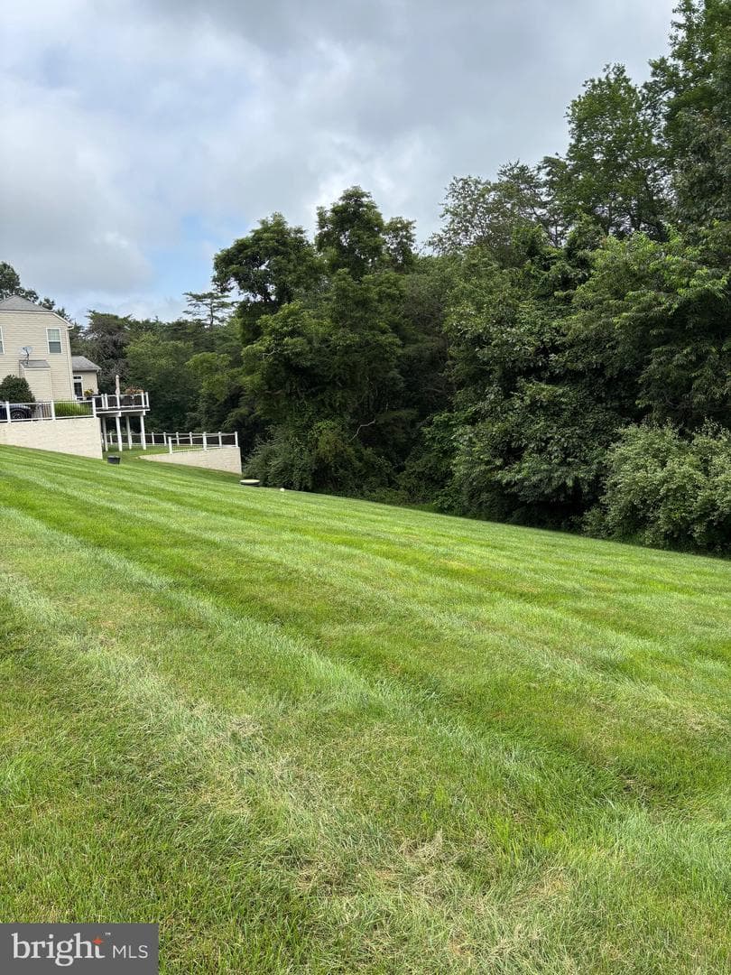 713 Jaclyn Circle photo 64