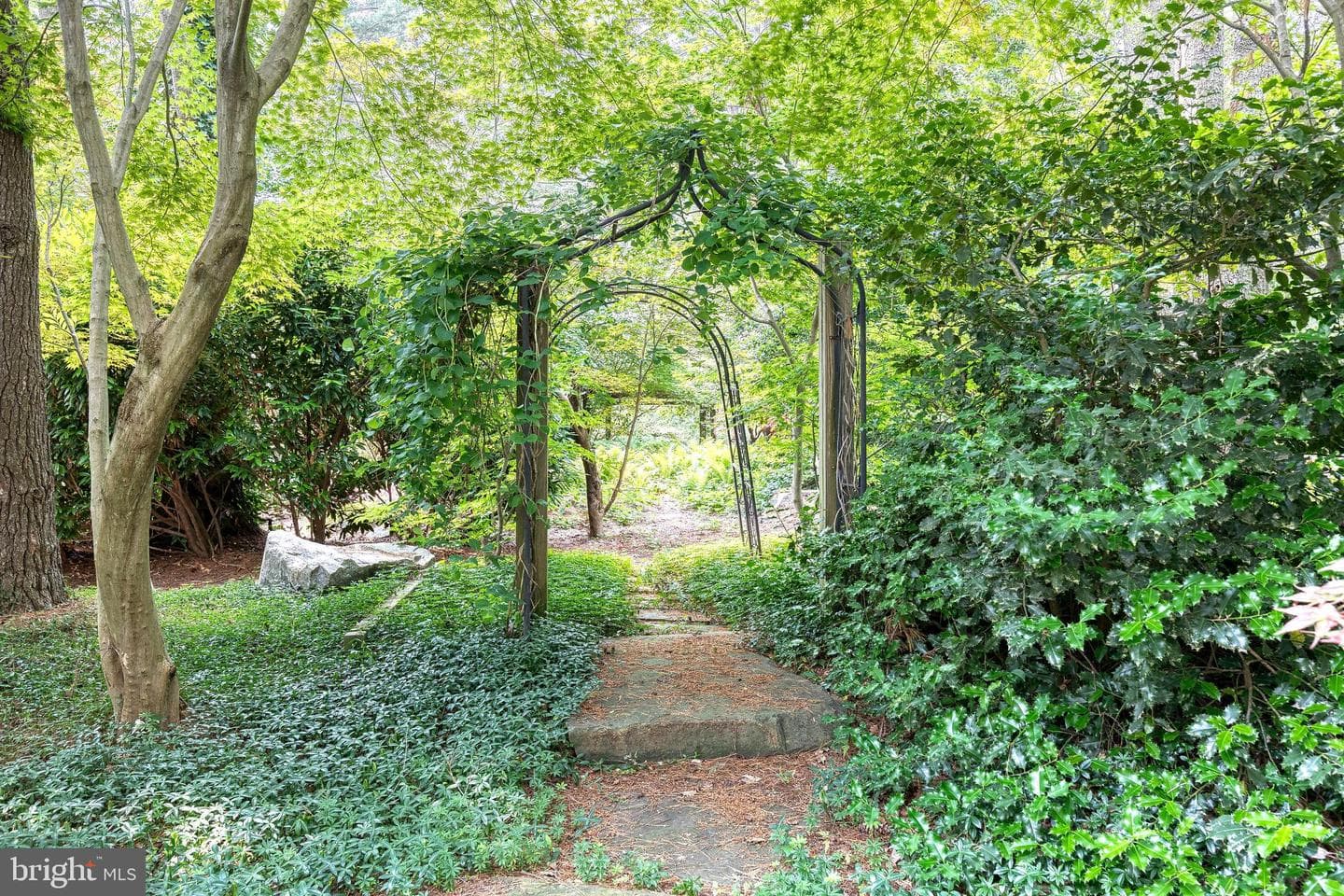 9 Tree Farm Court photo 45
