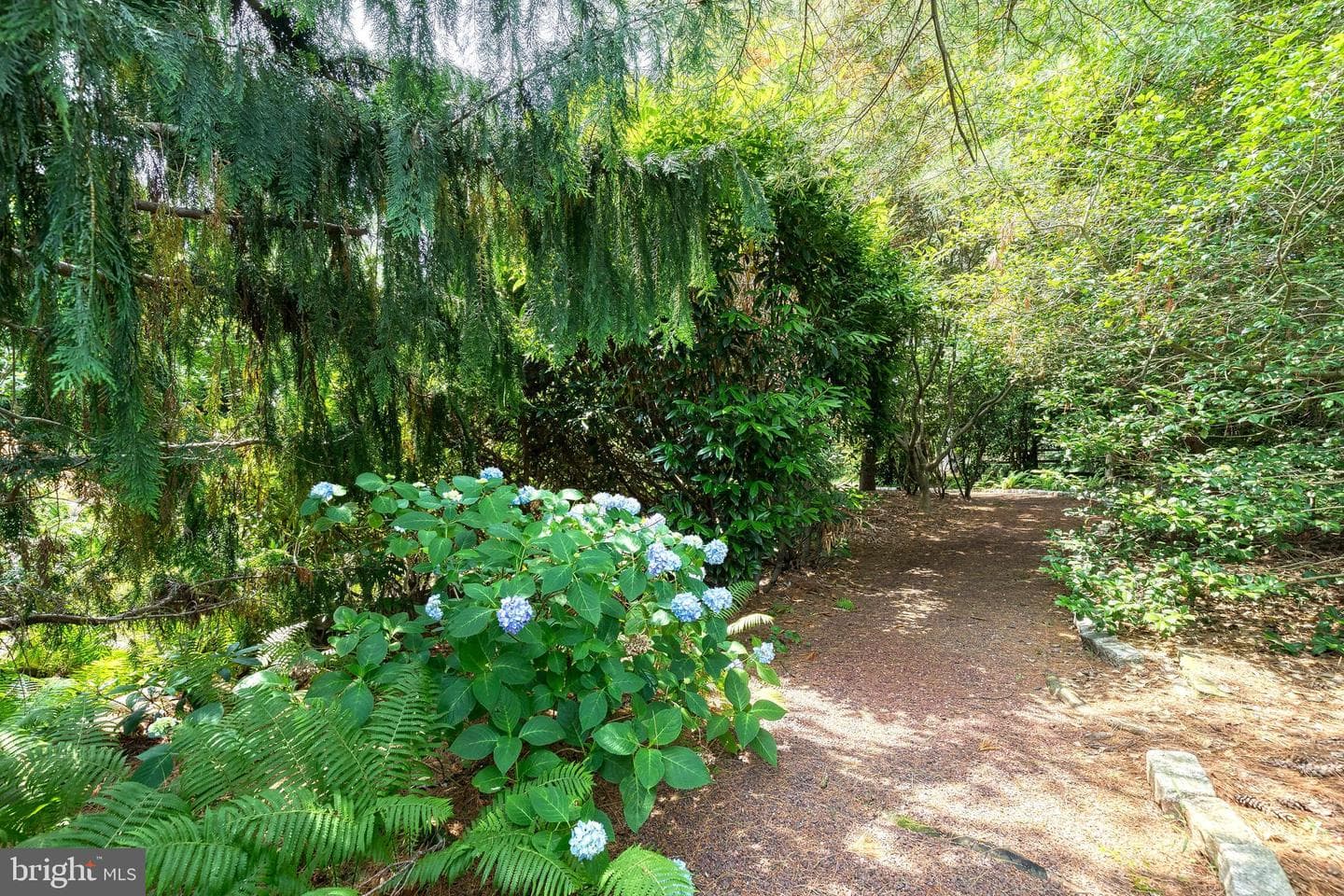 9 Tree Farm Court photo 46