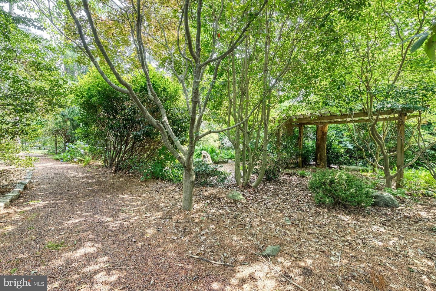 9 Tree Farm Court photo 47