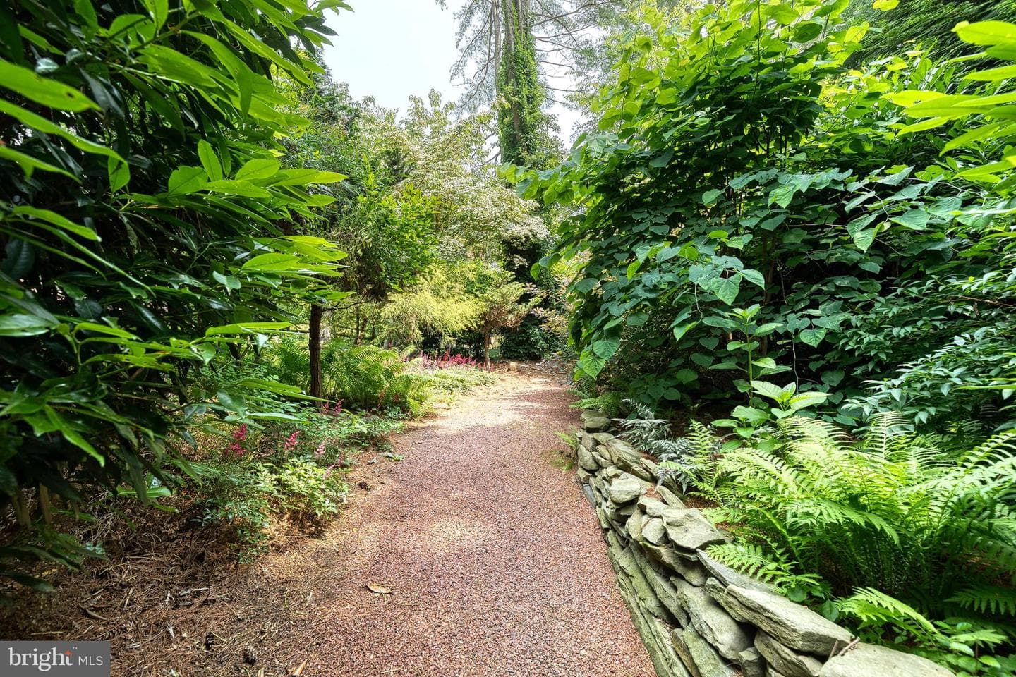 9 Tree Farm Court photo 48