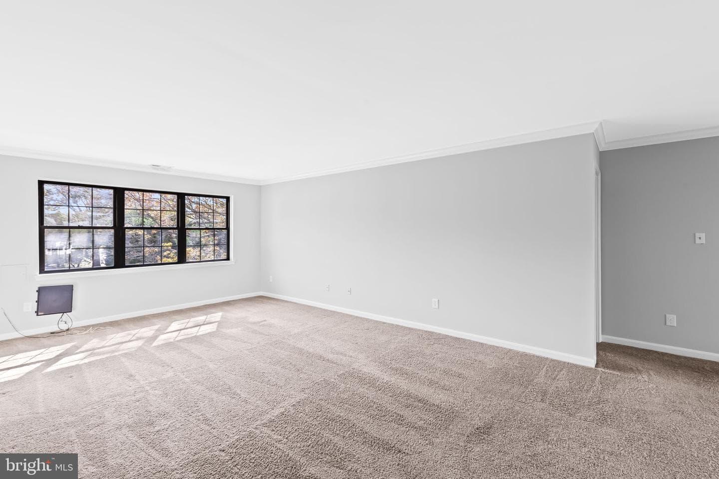 10 Choate Court #10e photo 4