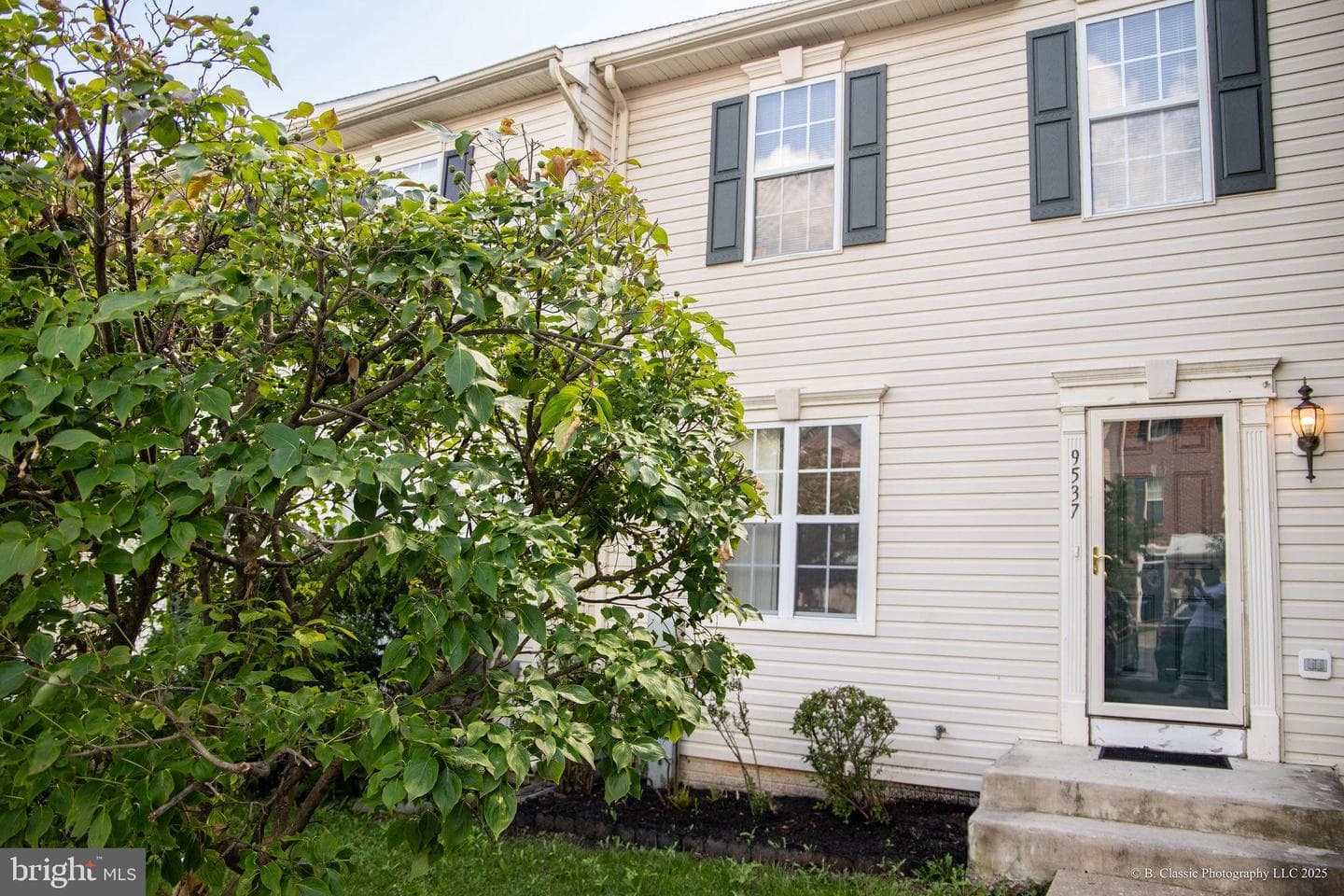 9537 Branchleigh Road photo 2