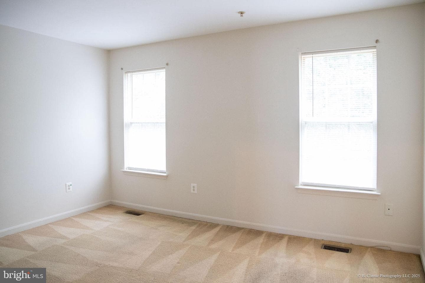 9537 Branchleigh Road photo 23