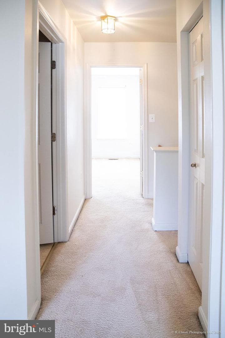 9537 Branchleigh Road photo 28