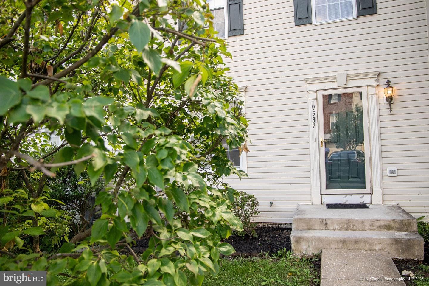 9537 Branchleigh Road photo 3