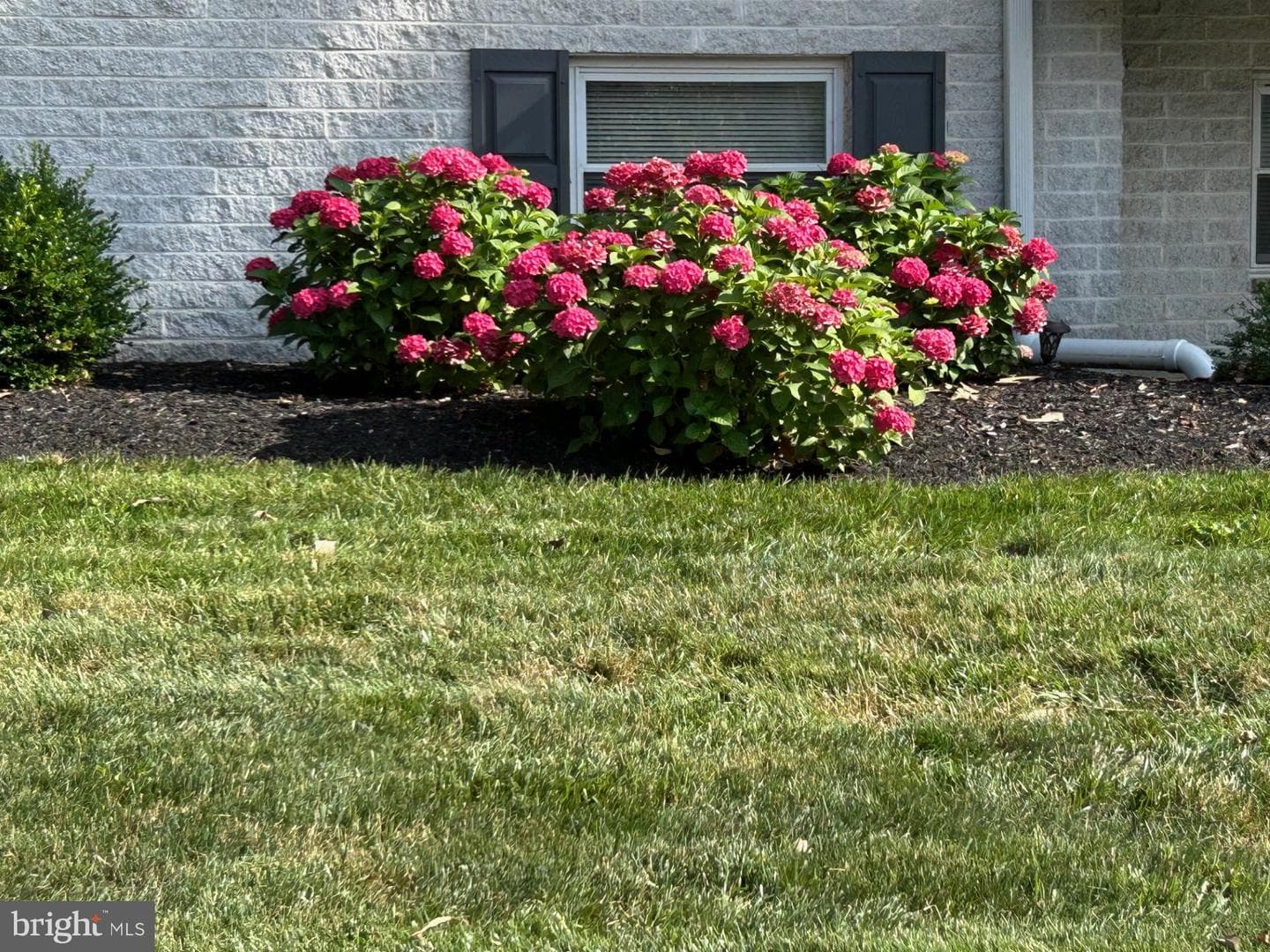 6 Warren Lodge Ct #2d photo 7