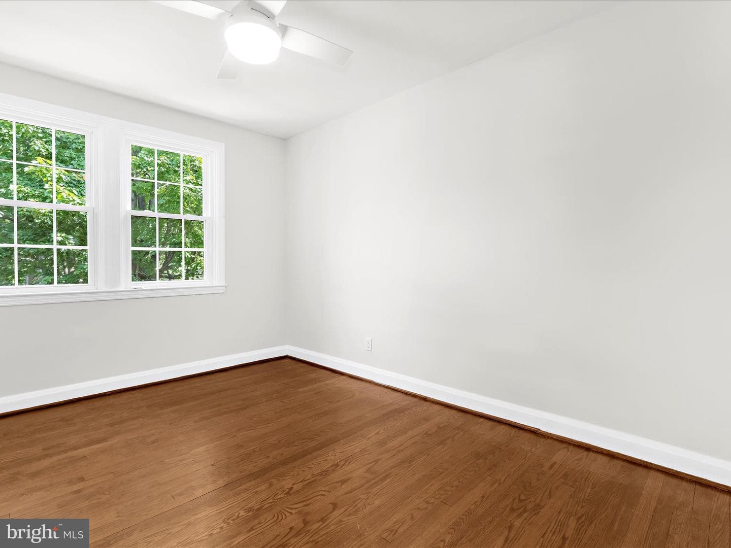 218 Blenheim Road photo 16