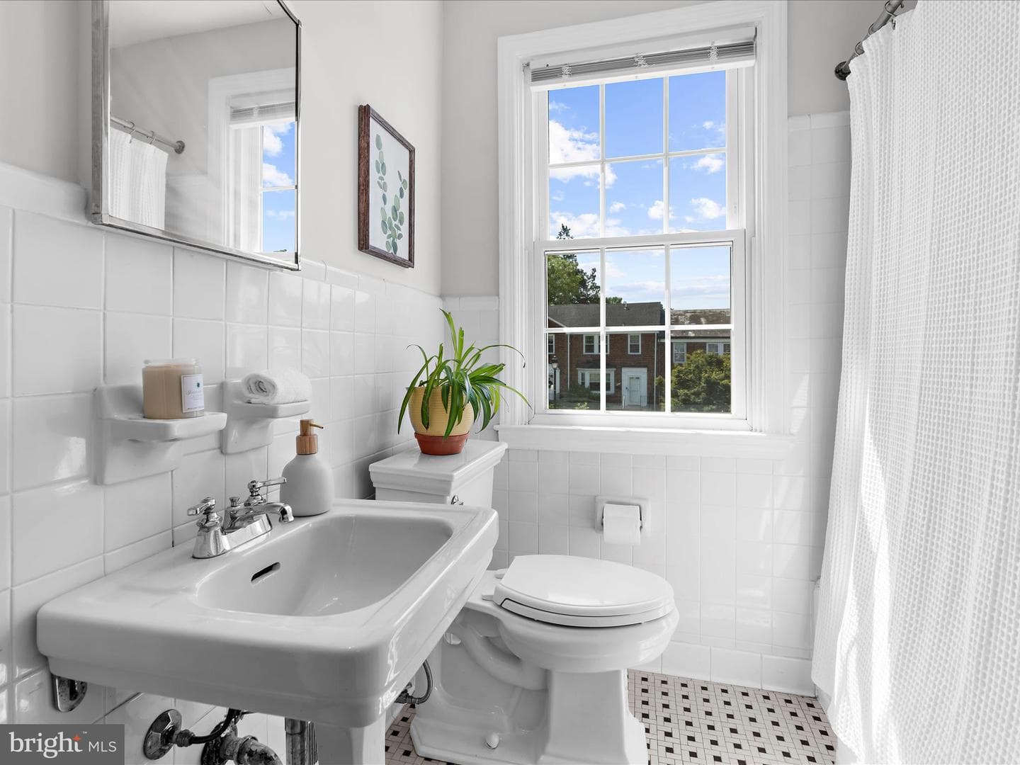 218 Blenheim Road photo 20