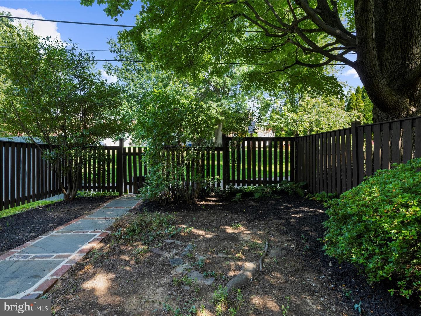 218 Blenheim Road photo 29