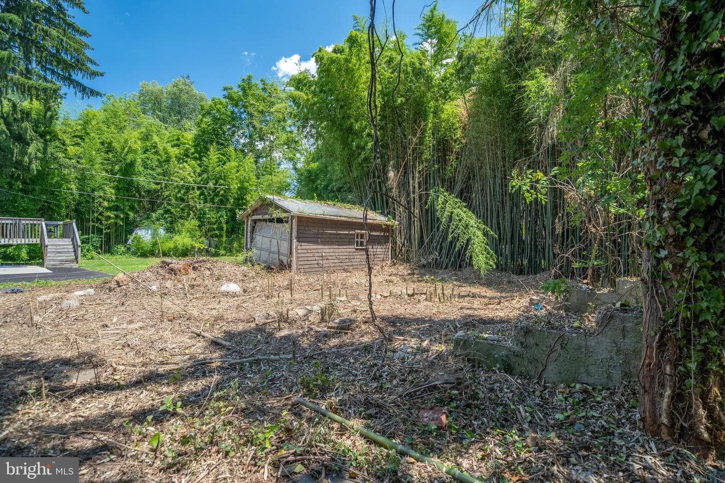 227 Clarendon Avenue photo 4