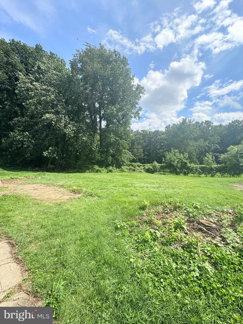 7501 Riddle Avenue photo 4