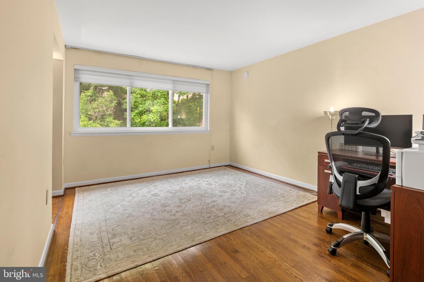 19 Coldwater Court photo 44