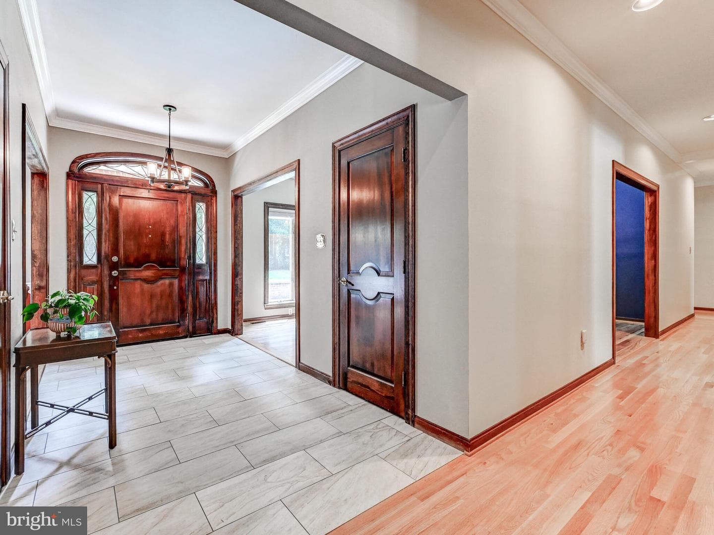 3805 Timber View Way photo 8