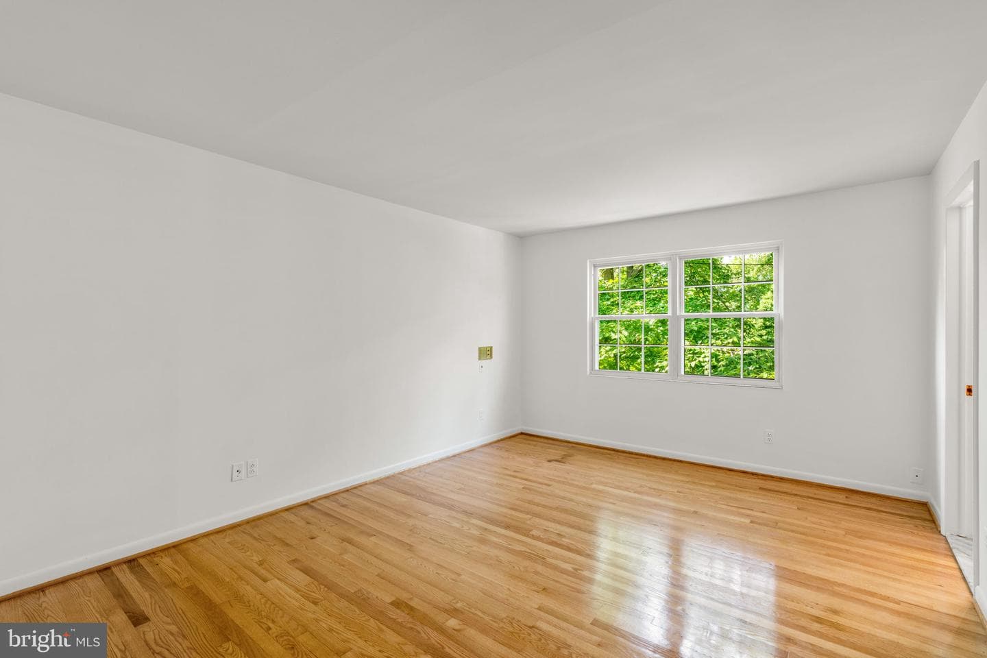 428 Montemar Avenue photo 13
