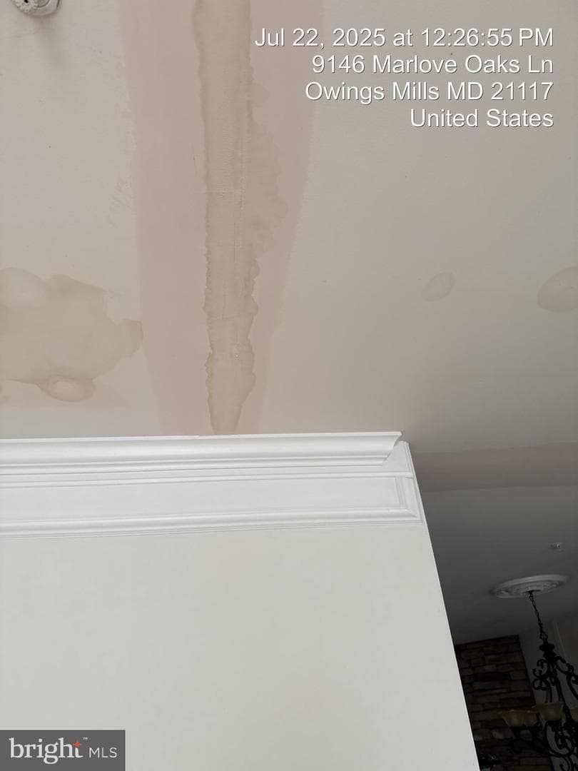 9146 Marlove Oaks Lane photo 20