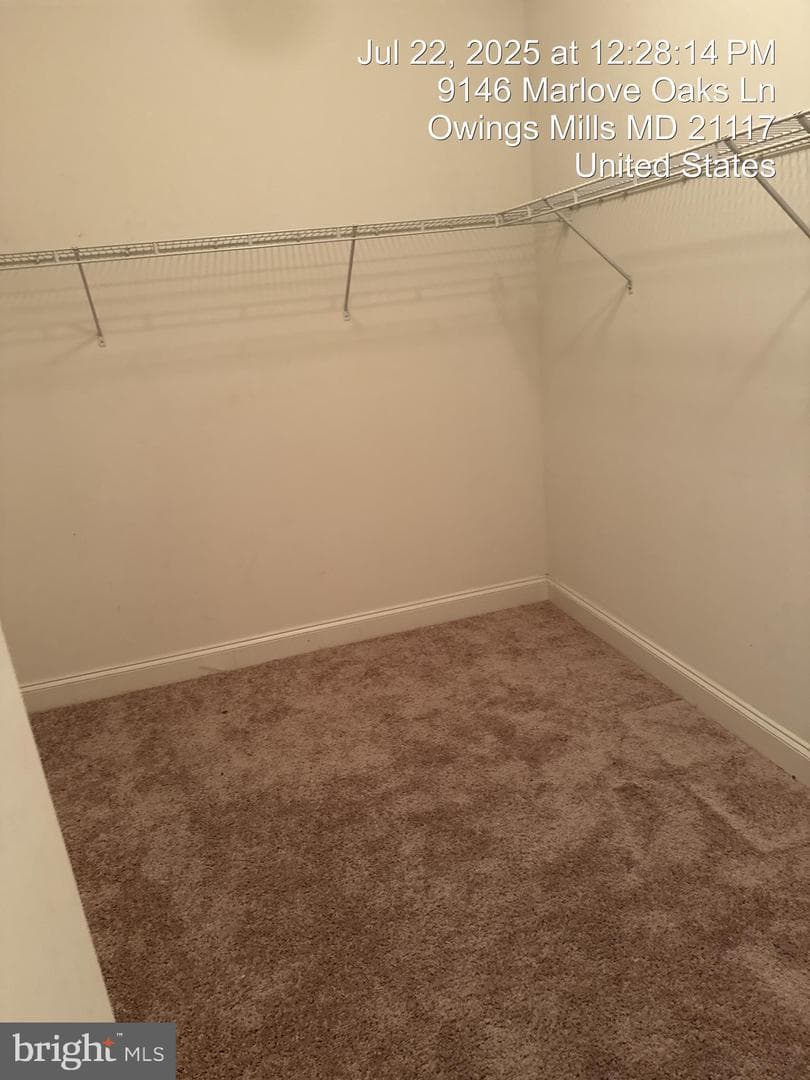 9146 Marlove Oaks Lane photo 39