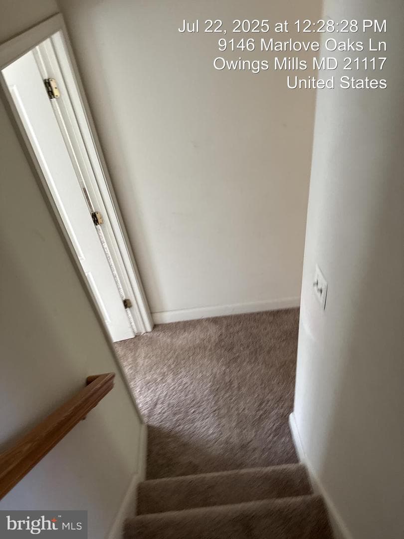 9146 Marlove Oaks Lane photo 41