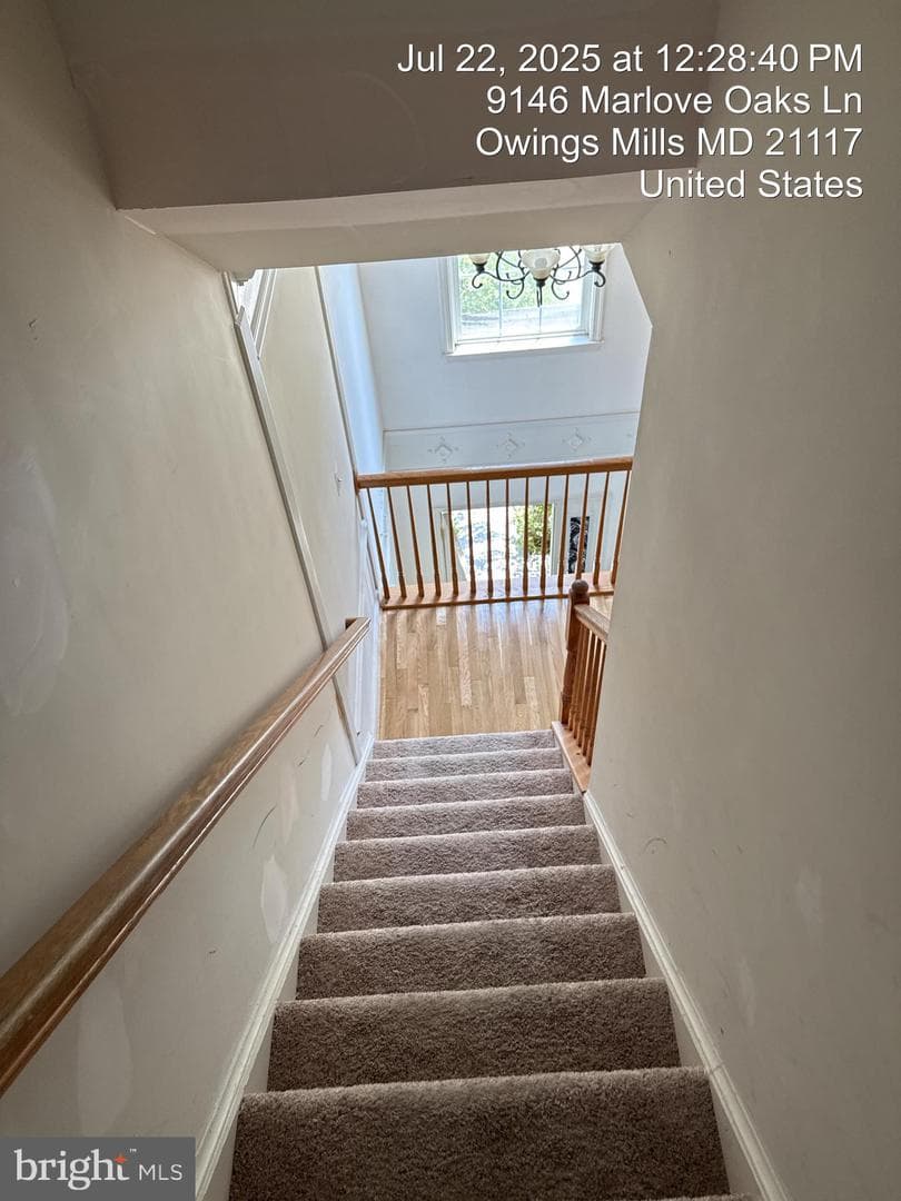9146 Marlove Oaks Lane photo 42