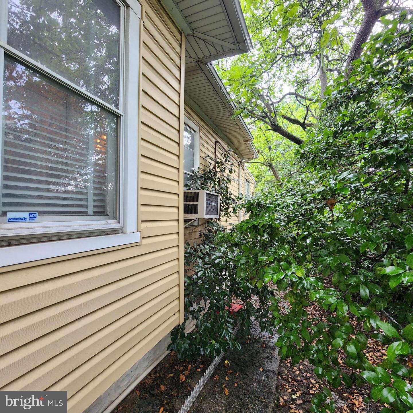 6818 Holabird Avenue photo 11