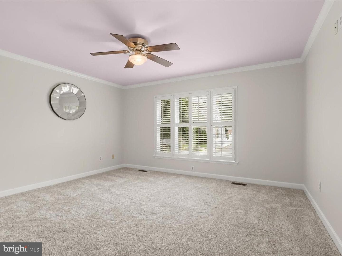 11 Locust Drive photo 21