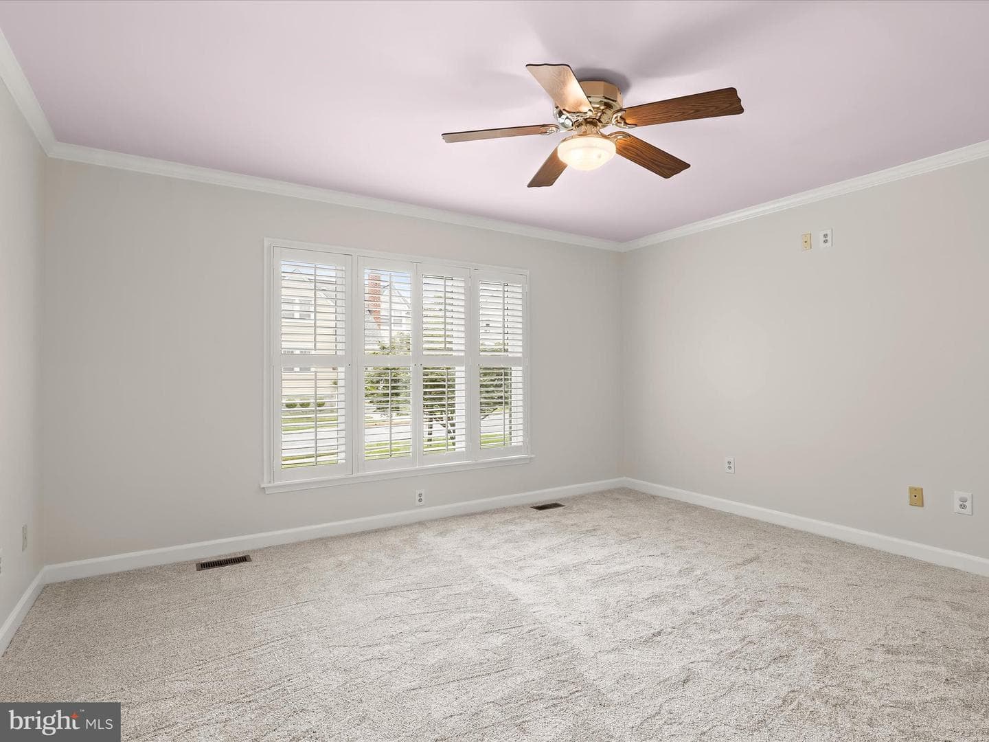 11 Locust Drive photo 23