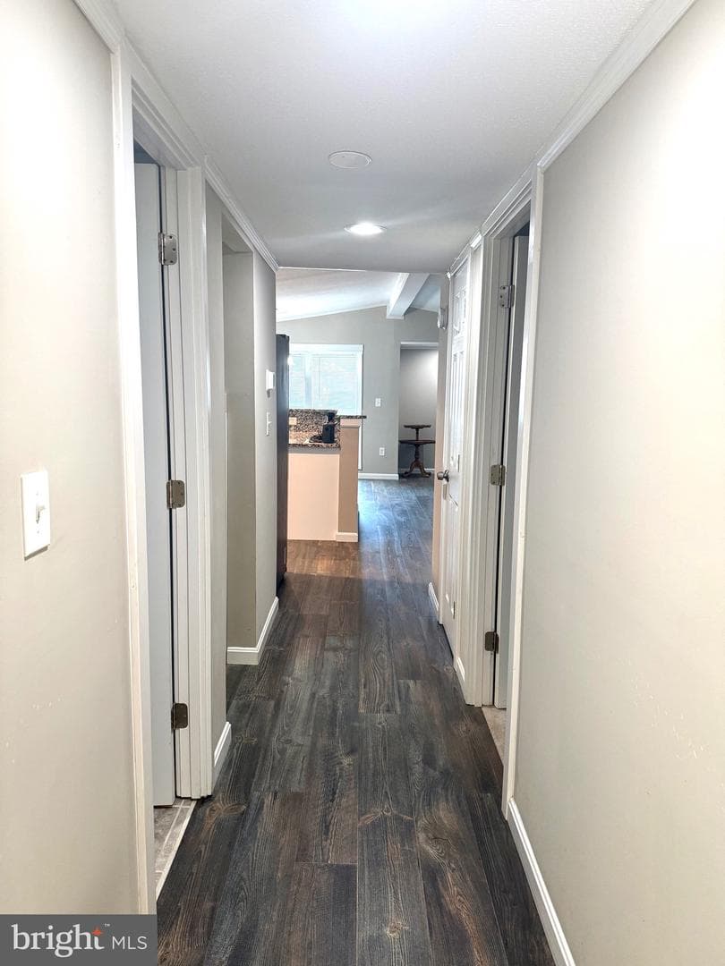 20 Tamarac Trail photo 25