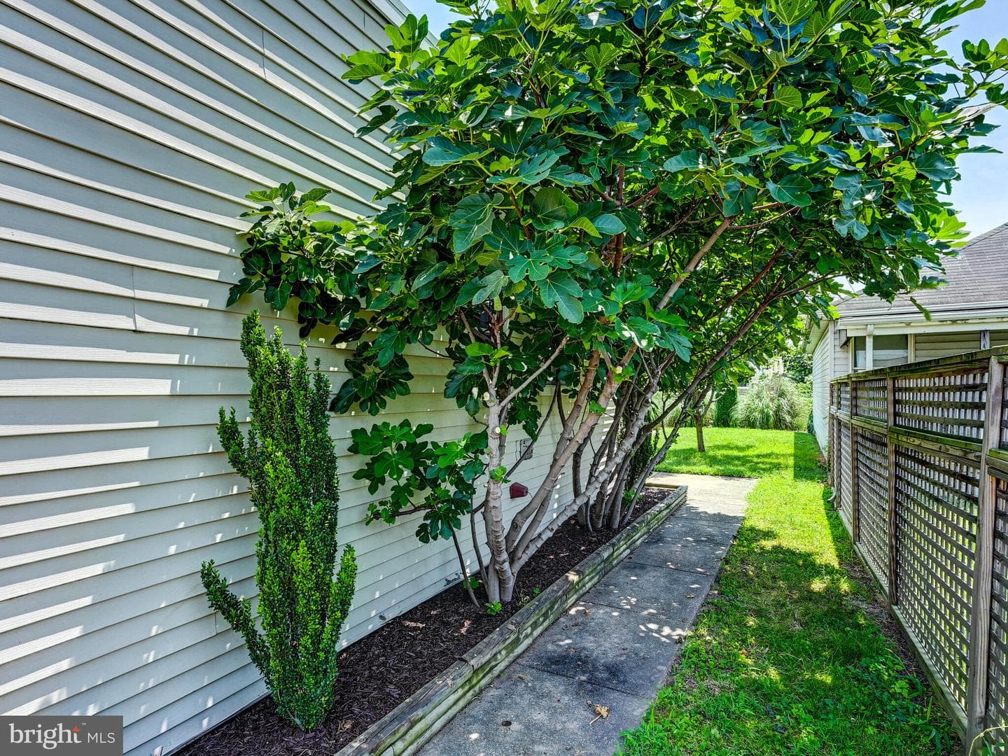 15 Maryland Avenue photo 33