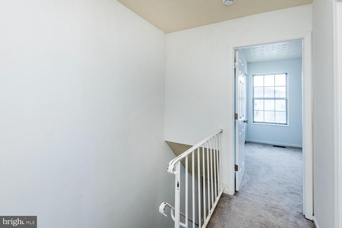 58 Chelmsford Court photo 23