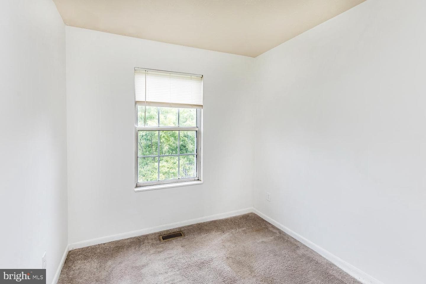 58 Chelmsford Court photo 27
